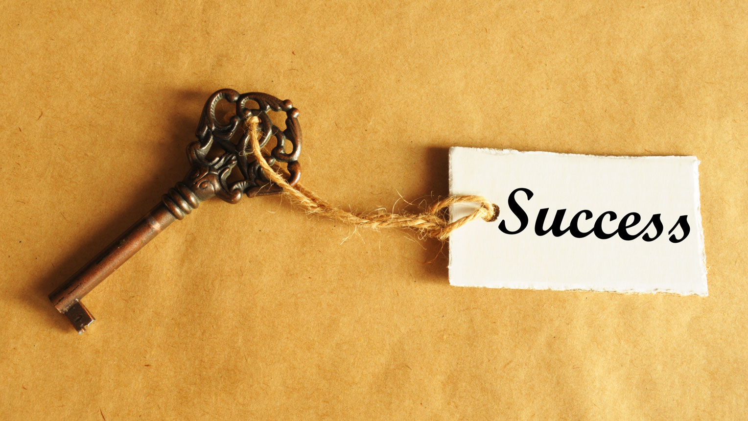 3 Keys to Elevating Success