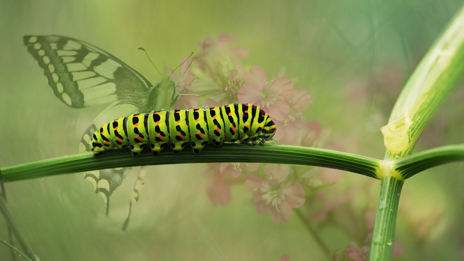 Mastering the Art of Transforming Circumstances